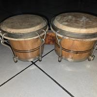 bongo