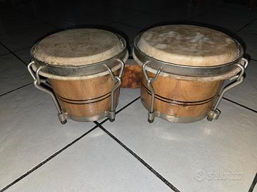 bongo
