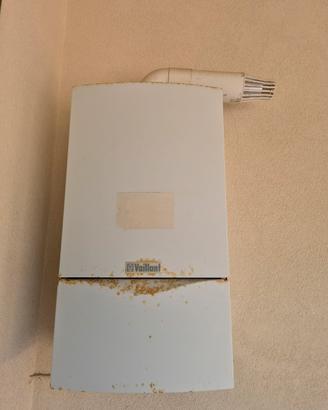 Caldaia Scaldabagno Gas Vaillant
