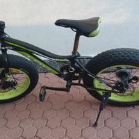 bici bike fat