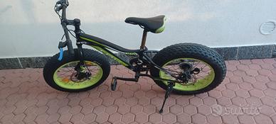bici bike fat