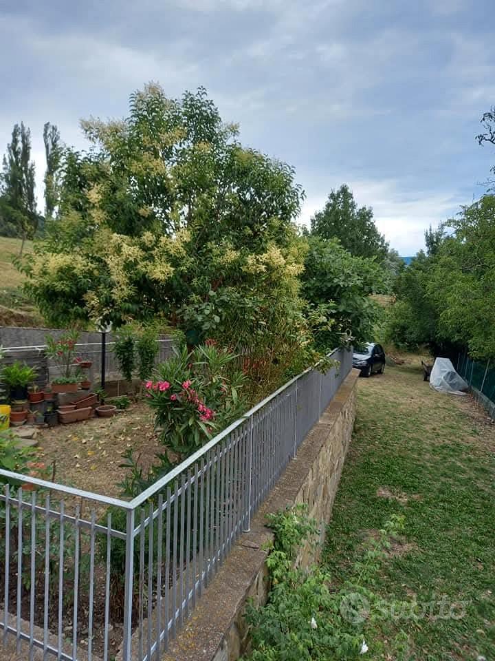 Casa porzione con giardino e terrreno - Vista 5