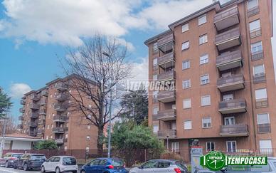 AMPIO TRILOCALE CON CANTINA