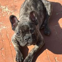 Per informazioni in privato