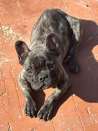 Per informazioni in privato