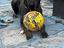 Immagine 5