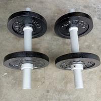 pesi palestra 