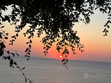 Graziosi appartamenti per le tue vacanze al mare