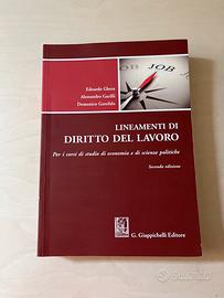 Libro "Lineamenti di diritto del lavoro"