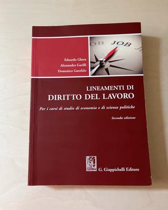 Libro "Lineamenti di diritto del lavoro"
