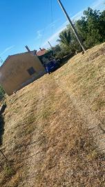 Casa singola