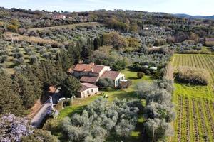 Casolare toscano Bolgheri