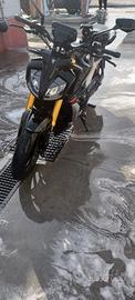TVS RTR 310 2025