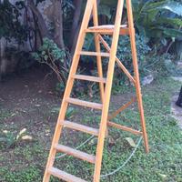 Scala in legno sei gradini robusta e solida