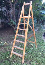 Scala in legno sei gradini robusta e solida