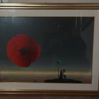 Quadro Papavero Rosso