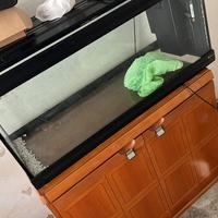 Acquario 200L