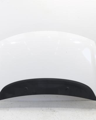 COFANO ANTERIORE FIAT 500 L Serie (351_352) 168978