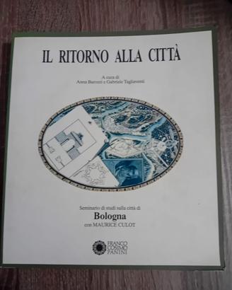 IL RITORNO ALLA CITTA'
