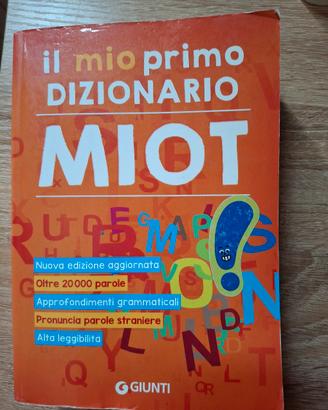 Dizionario
