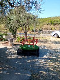 Giostrina ruota da bambino