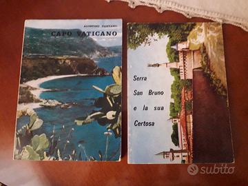 Guide/souvenir Capo Vaticano e Serra San Bruno