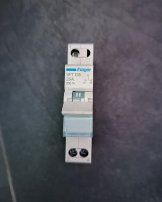 Hager SFT125 Commutatore 1NA+1NC 25A Din