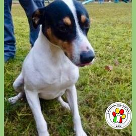 Adozione per aloka dolce bodeguero 2 anni