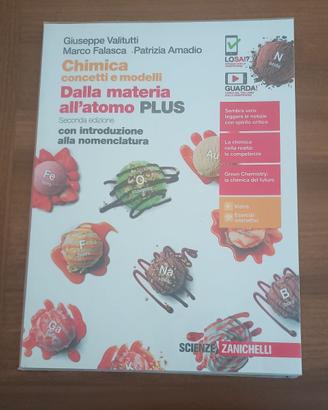 Libro Chimica concetti e modelli  9788808344045