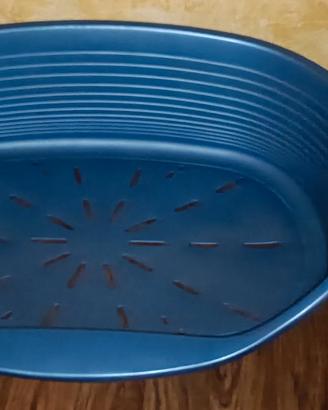 Cuccia per cane