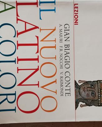Il nuovo latino a colori 2