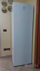congelatore 