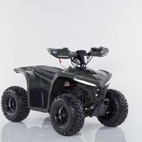 QUAD ELETTRICO POWERKID 1000W 48V ZTECH