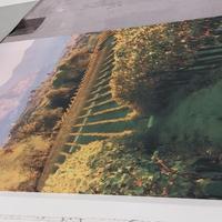 Quadro franciacorta-120x200cm