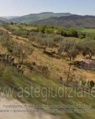 Terreno Agricolo Santa Caterina Villarmosa