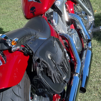 Shadow 600