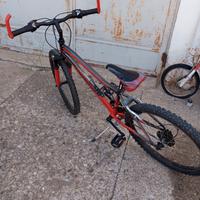 bicicletta lombardo
