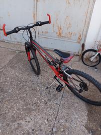 bicicletta lombardo