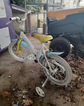 Bicicletta Peppa Pig