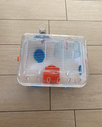 GABBIETTA CRICETI