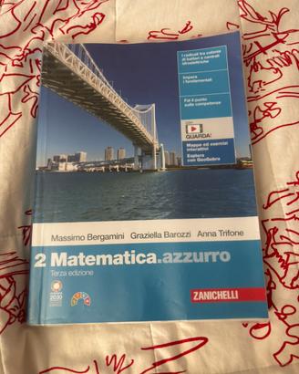 Libro Matematica. azzurro