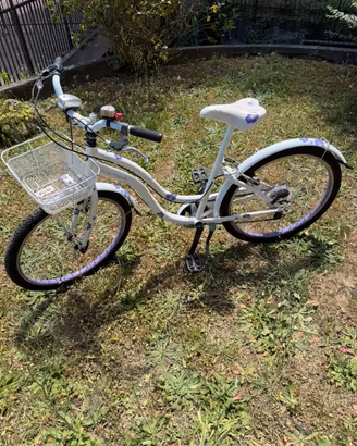 Bici da bambina 24”