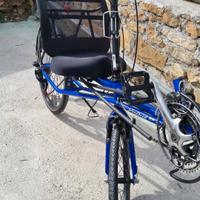 bicicletta  reclinata