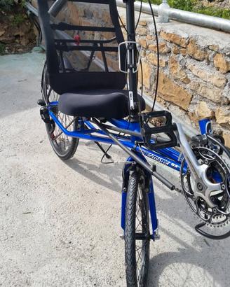 bicicletta  reclinata