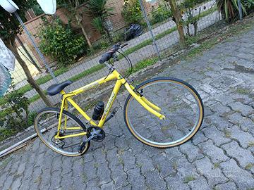 Bicicletta mountain bike IROK