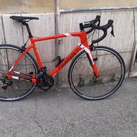 Bici da corsa in carbonio wilier gtr team