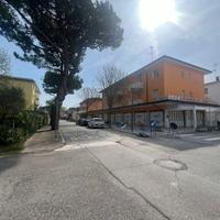 Lido dei Pini luminoso bilocale