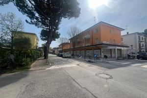 Lido dei Pini luminoso bilocale