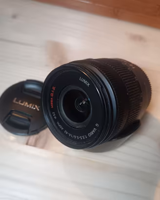 Panasonic Lumix 14-42mm F3.5/5.6 Micro 4/3