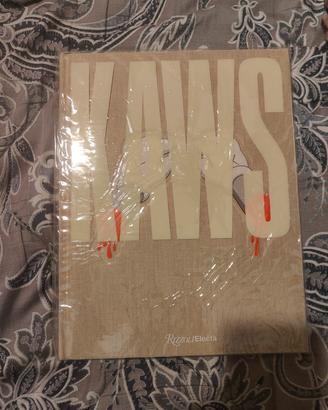 Kaws lingua inglese